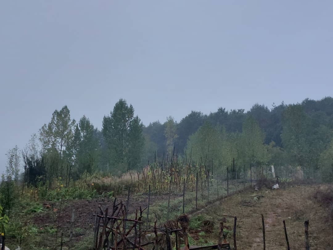 اجاره خانه جنگلی دیلا نشین در سنگده پل سفید