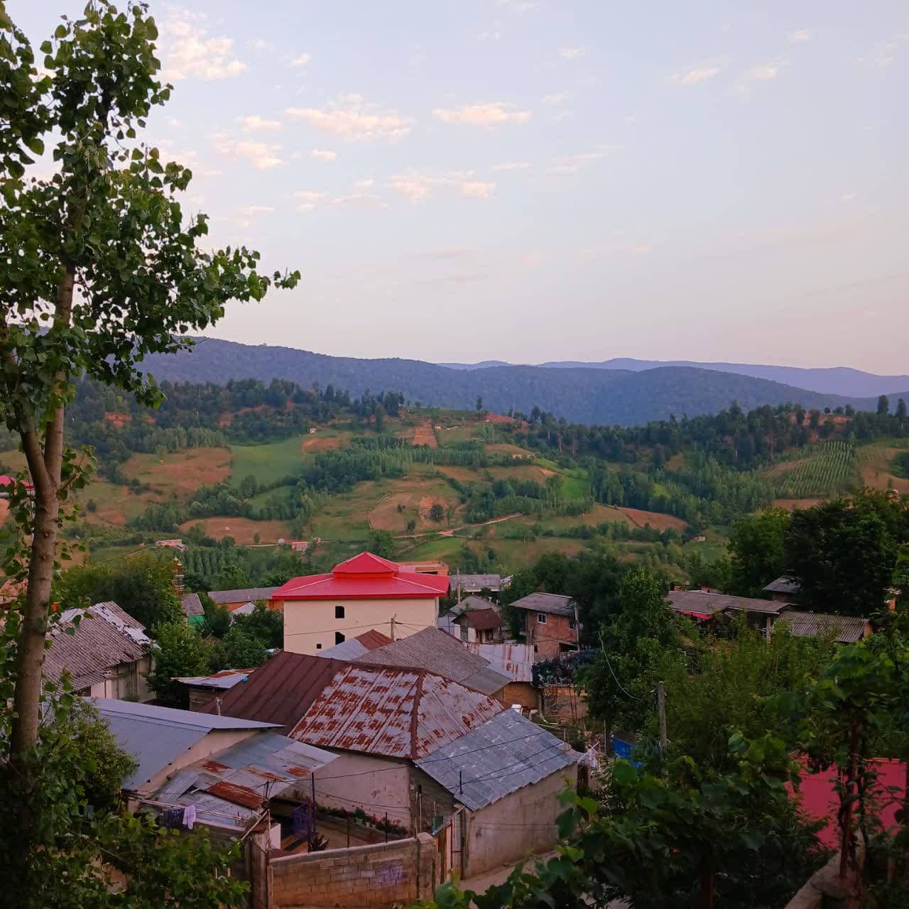 اجاره ویلا جنگلی در چورت کیاسر