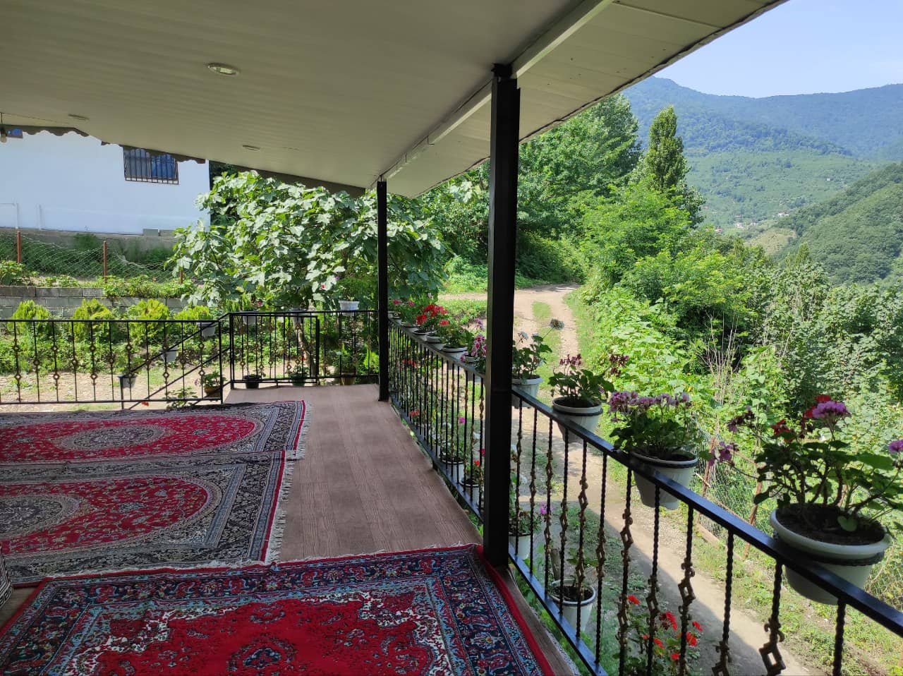 اجاره ویلا جنگلی در روستای سفیدآب - رودسر گیلان