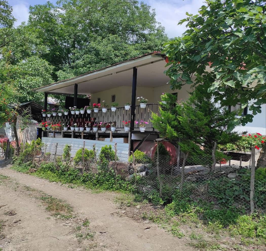 اجاره ویلا جنگلی در روستای سفیدآب - رودسر گیلان