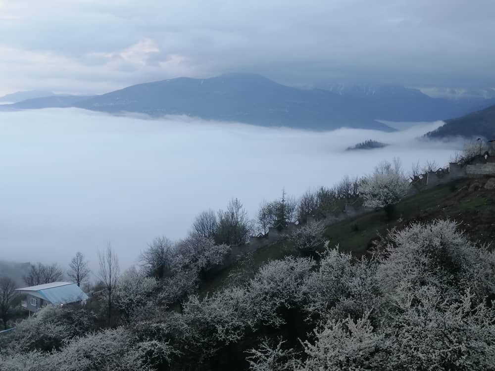 اجاره ویلا در فیلبند با چشم انداز جنگل ابر