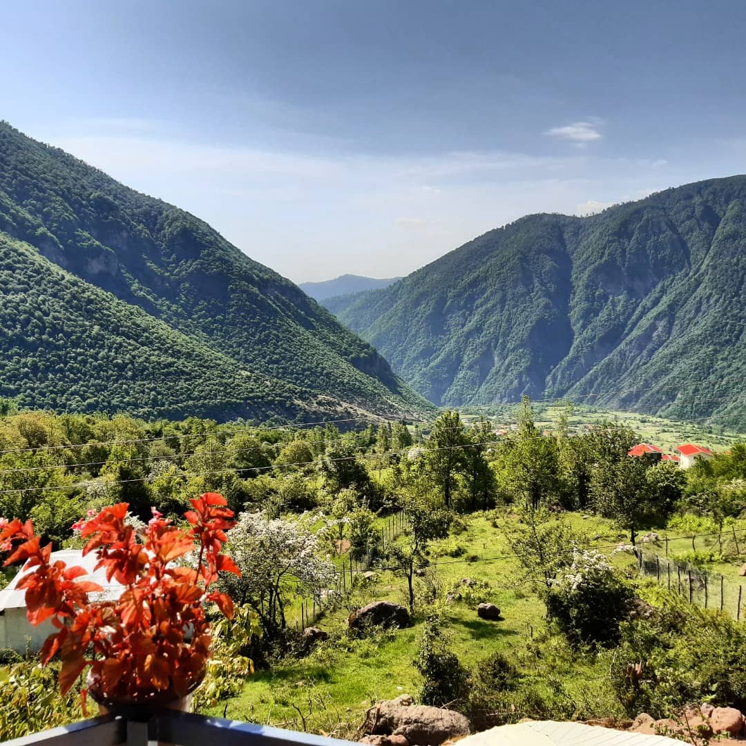 اجاره سوئیت جنگلی در هشت پر - شماره چهار