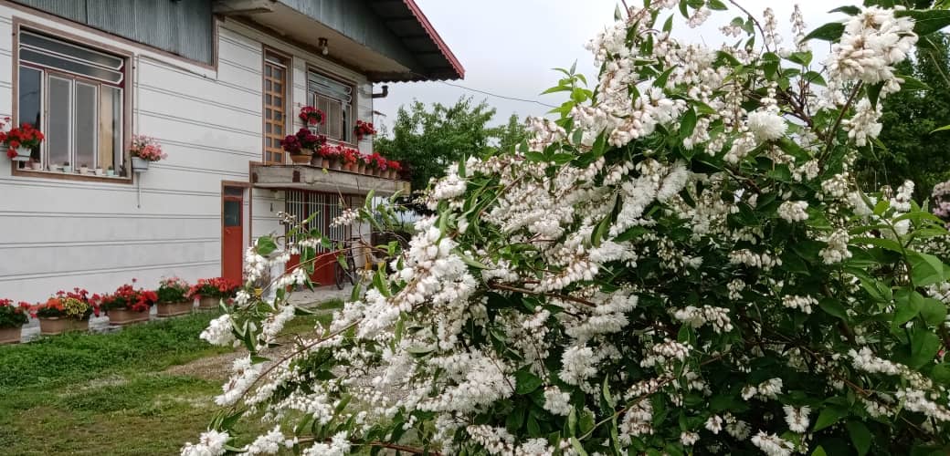 اجاره سوئیت در روستای سیاه چال اسالم نزدیک به دریا