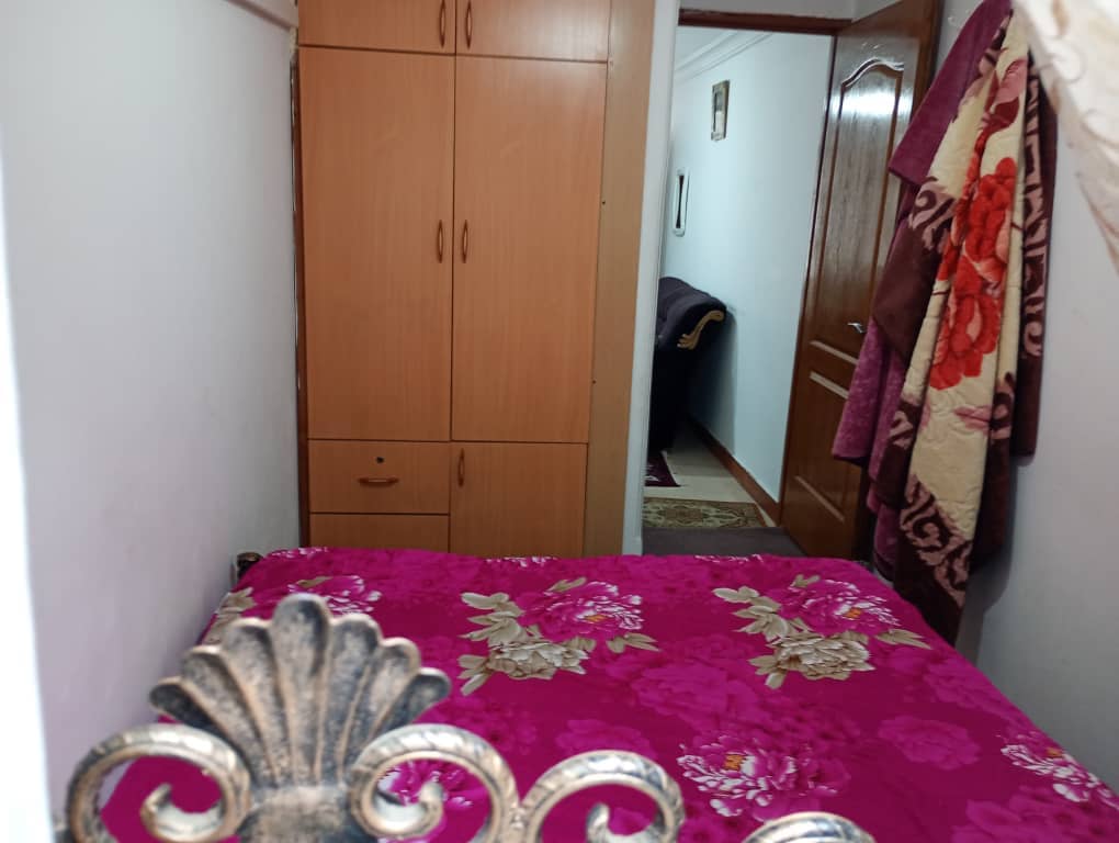 اجاره آپارتمان تک خواب در رشت