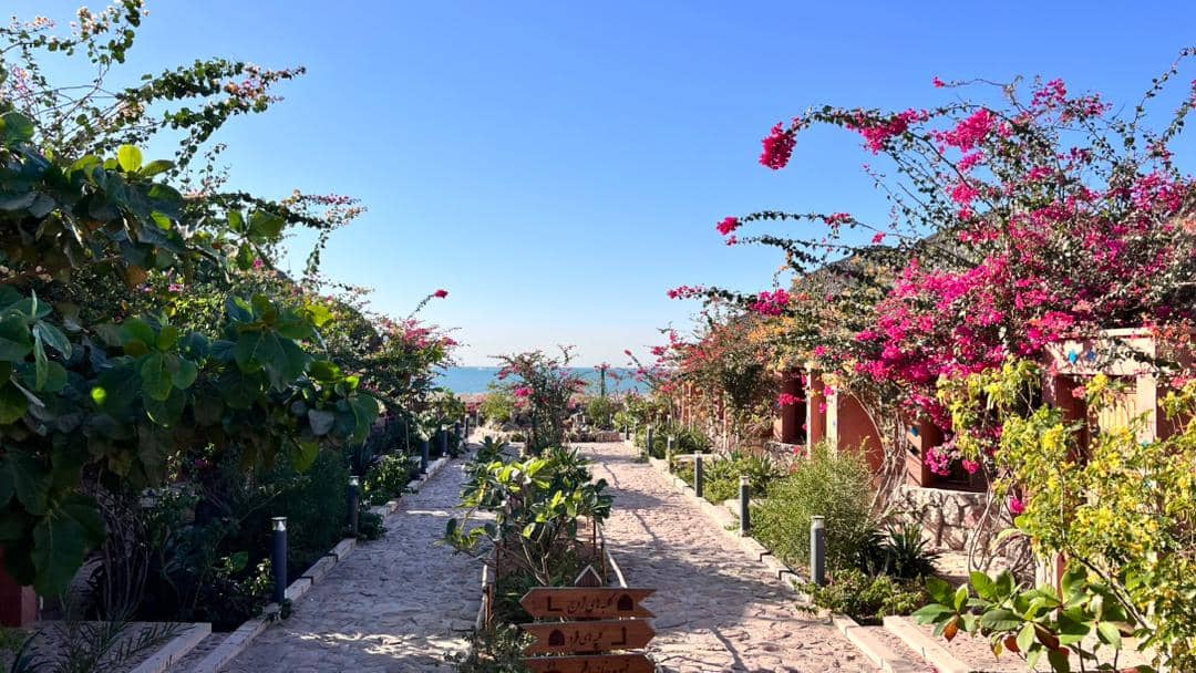 اجاره بومگردی ساحلی در هرمز - کلبه فلت