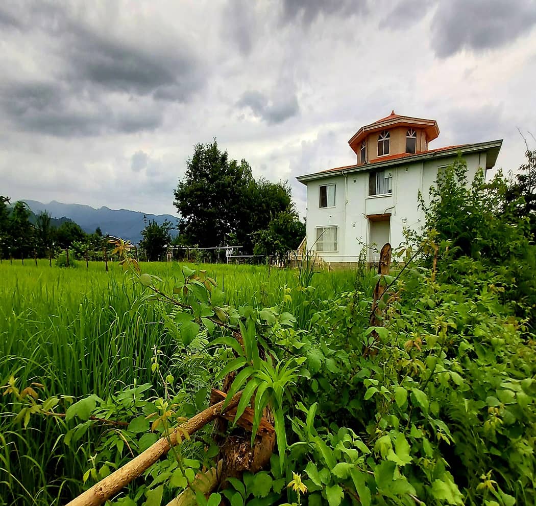 اجاره منزل ویلایی در روستای نیک کری تالش - اسپیناز ویلا یک