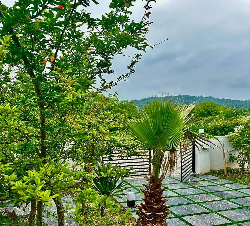 اجاره کلبه سوئیسی در روستای فولادکلا نور - وارش