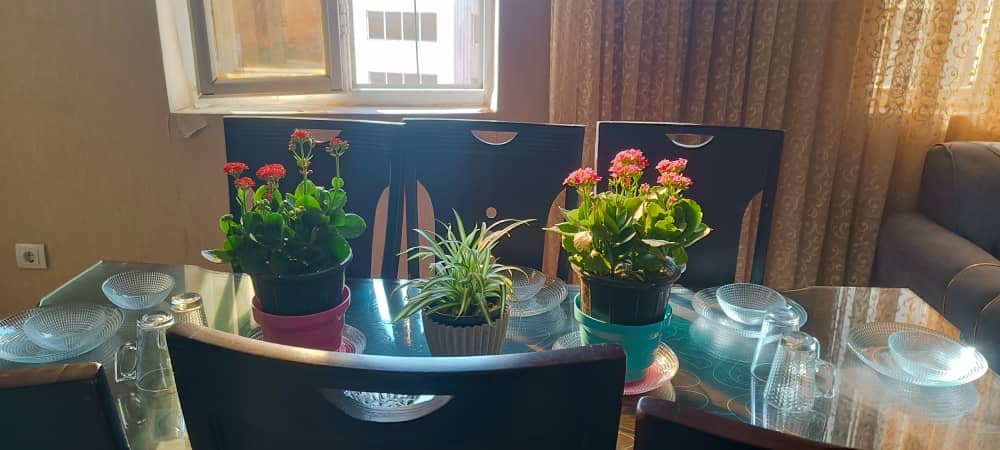 اجاره اپارتمان نزدیک ساحل در خیابان شریعتی شمالی - بندرعباس