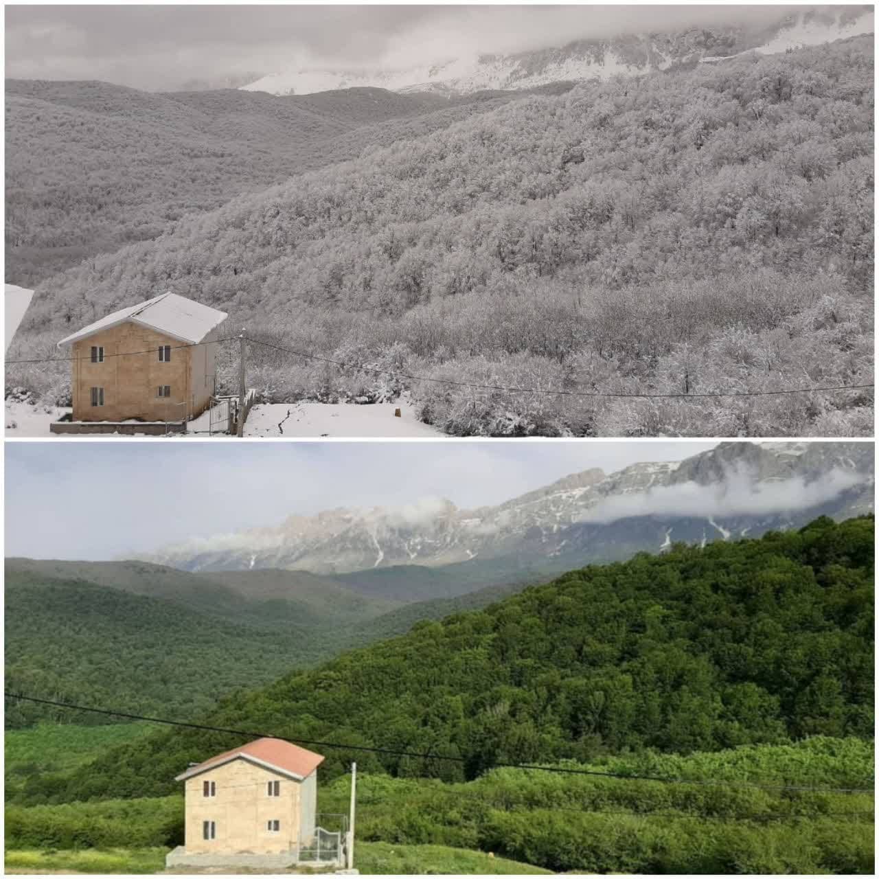 ویلا ییلاقی چکل کوه در سوادکوه پل سفید ورپی