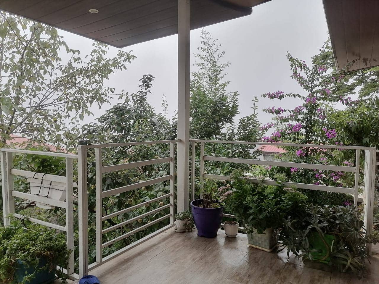 اجاره ویلا جنگلی در زیرآب