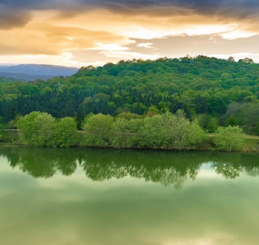 اجاره کلبه سوئیسی در روستای فولادکلا نور - گندم