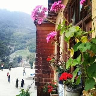 اجاره سوئیت مبله تمیزدرماسوله 