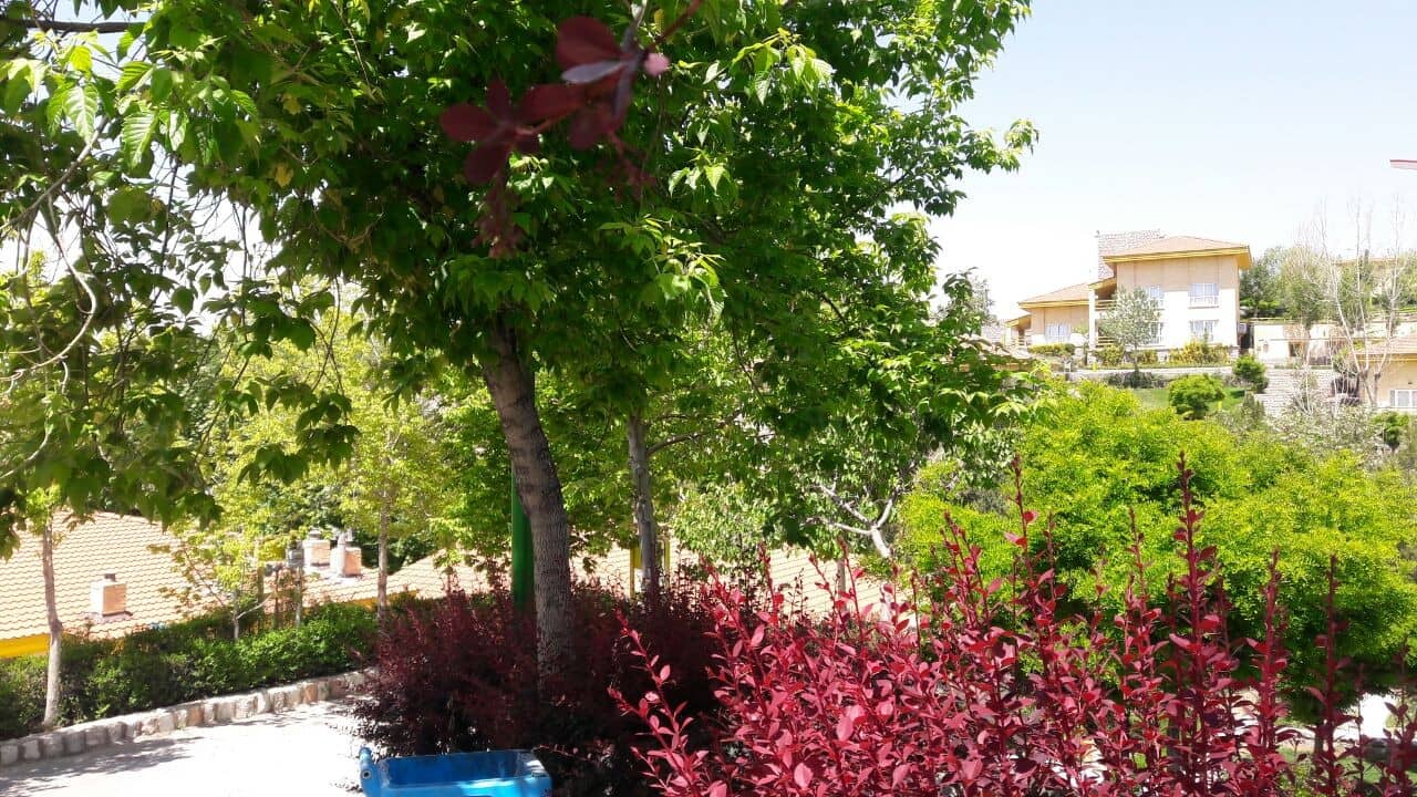 اجاره ویلا در دهکده زاینده رود چادگان 