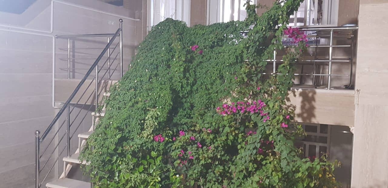 اجاره خانه مبله ویلایی در امام خمینی یزد - مارال 