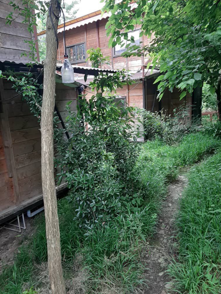 اجاره کلبه چوبی در سردارجنگل ماسال