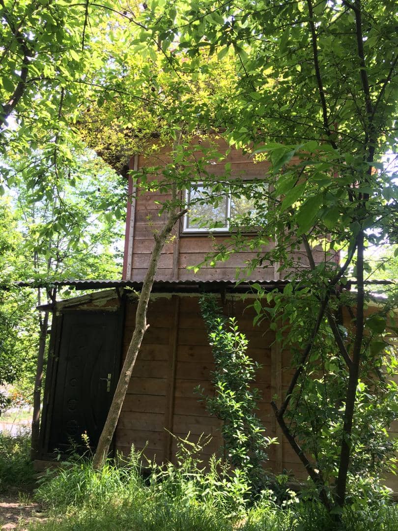 اجاره کلبه چوبی در سردارجنگل ماسال