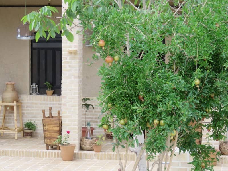 اجاره خانه بوم گردی در ایزدخواست-اتاق 5