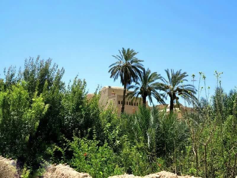 اجاره اقامتگاه بومگردی سنتی در کویر - ازمیغان 2
