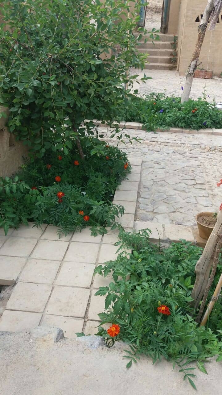 اجاره اقامتگاه بومگردی در قلعه بالا بیارجمند  - اتاق5