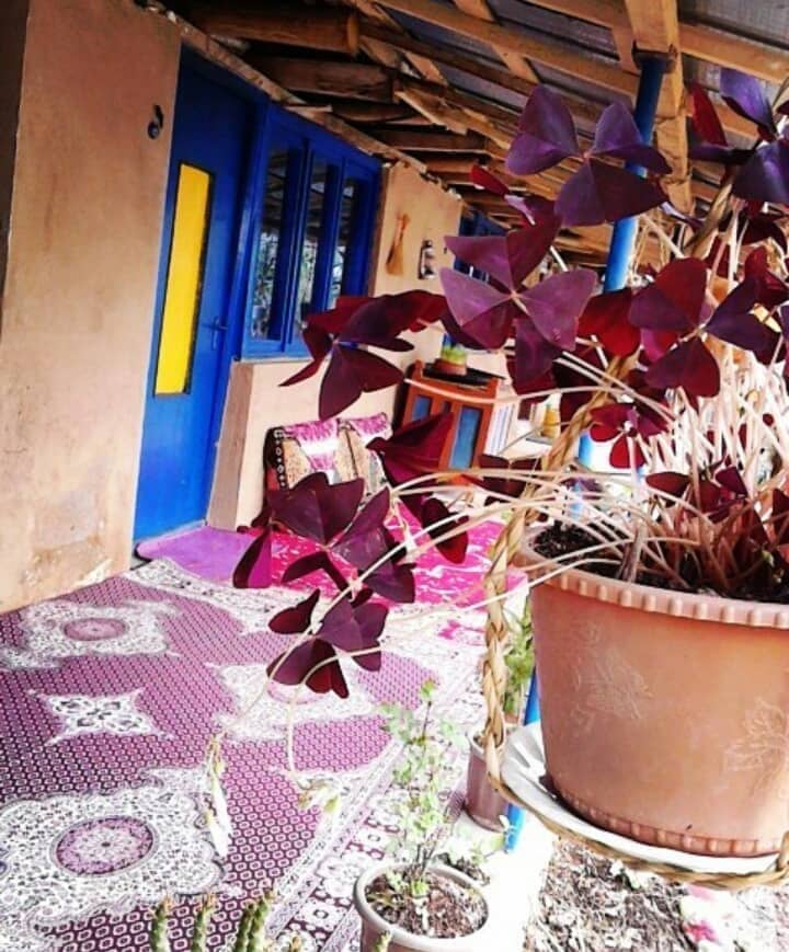 اجاره خانه سنتی _اتاق 5 درسیاهکل