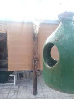 اجاره و رزرو بومگردی سنتی در سمنان- اتاق 1