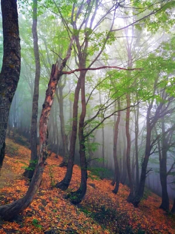 اجاره اقامتگاه بومگردی سنتی در آزادشهر شاهرود - اتاق 12