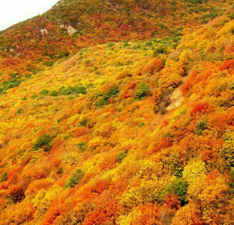 اجاره اقامتگاه و خانه بوم گردی سنتی در آزادشهر شاهرود - اتاق 14