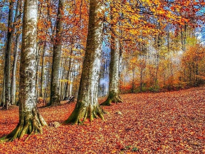 اجاره اقامتگاه بومگردی و خانه سنتی در آزادشهر شاهرود - اتاق16