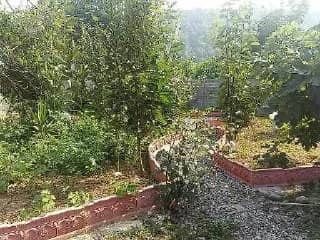 اجاره کلبه جنگلی در وشمه سرا ماسال