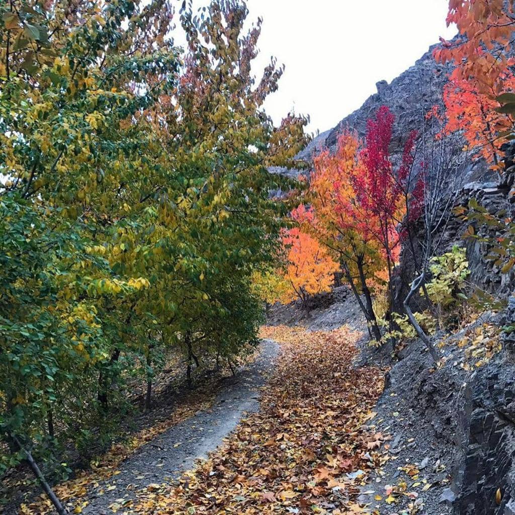 اجاره اقامتگاه سنتی در کردکوی -واحد8