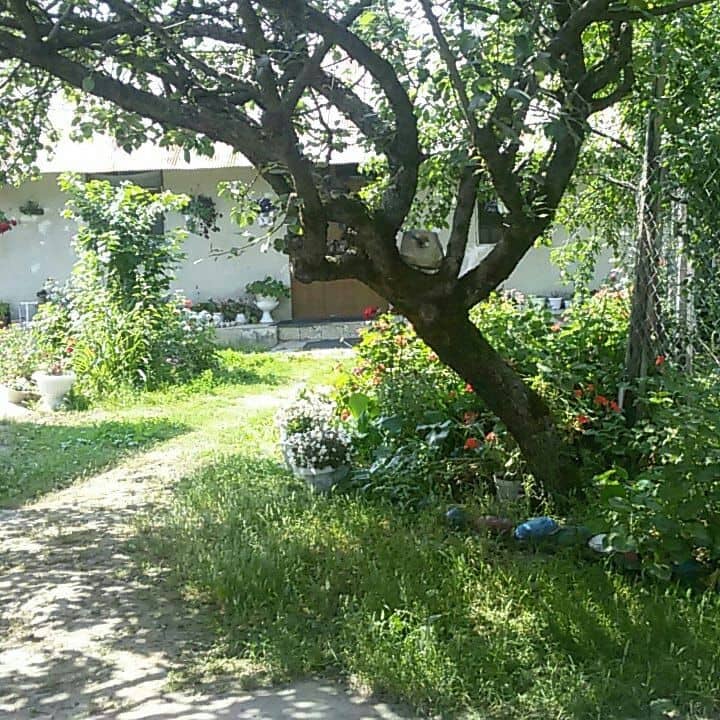 اجاره خانه مبله ارزان در ماسال 