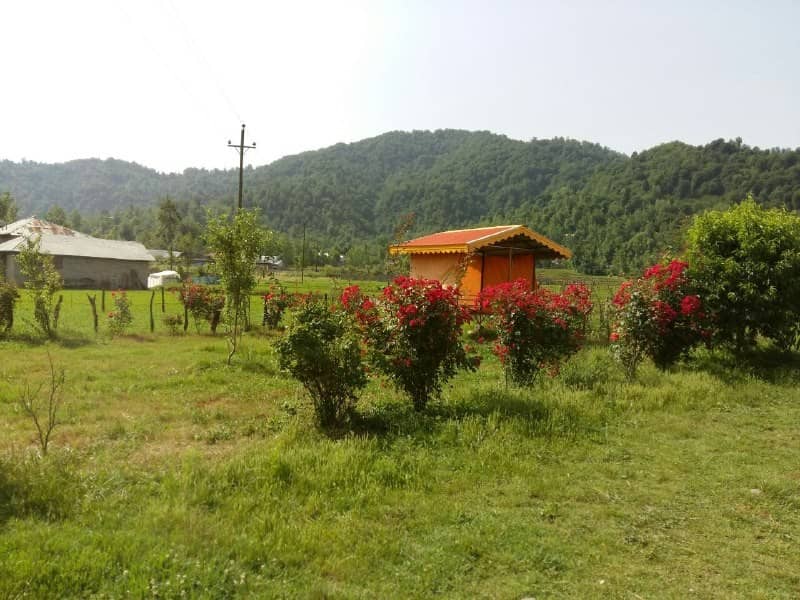 اجاره باغ و ویلا جنگلی در ماکلوان فومن