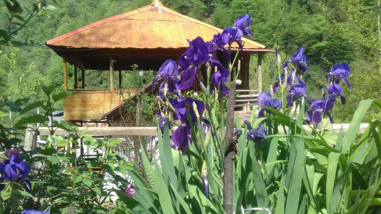 اجاره کلبه جنگلی غوزک رودبار شیرگاه - 3