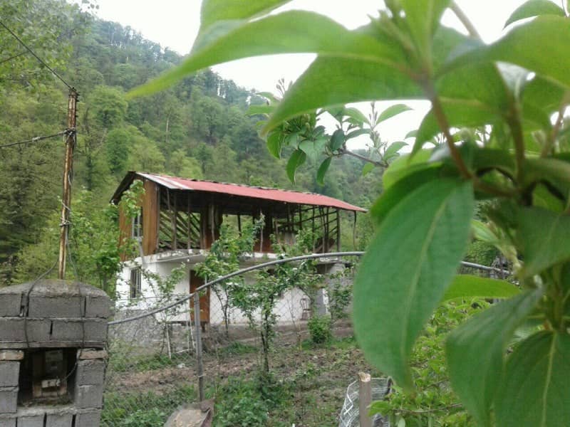 اجاره اقامتگاه بومگردی جنگلی غوزک رودبار - 5