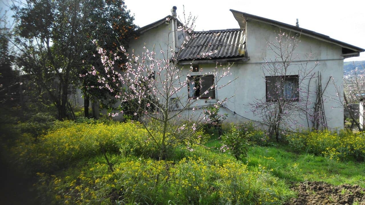 اجاره ویلا جنگلی در سیدکلا شیرگاه