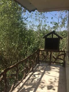 اجاره ویلادربستی دربندرانزلی 