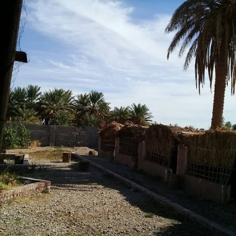 اجاره طلوع کویر اتاق 5