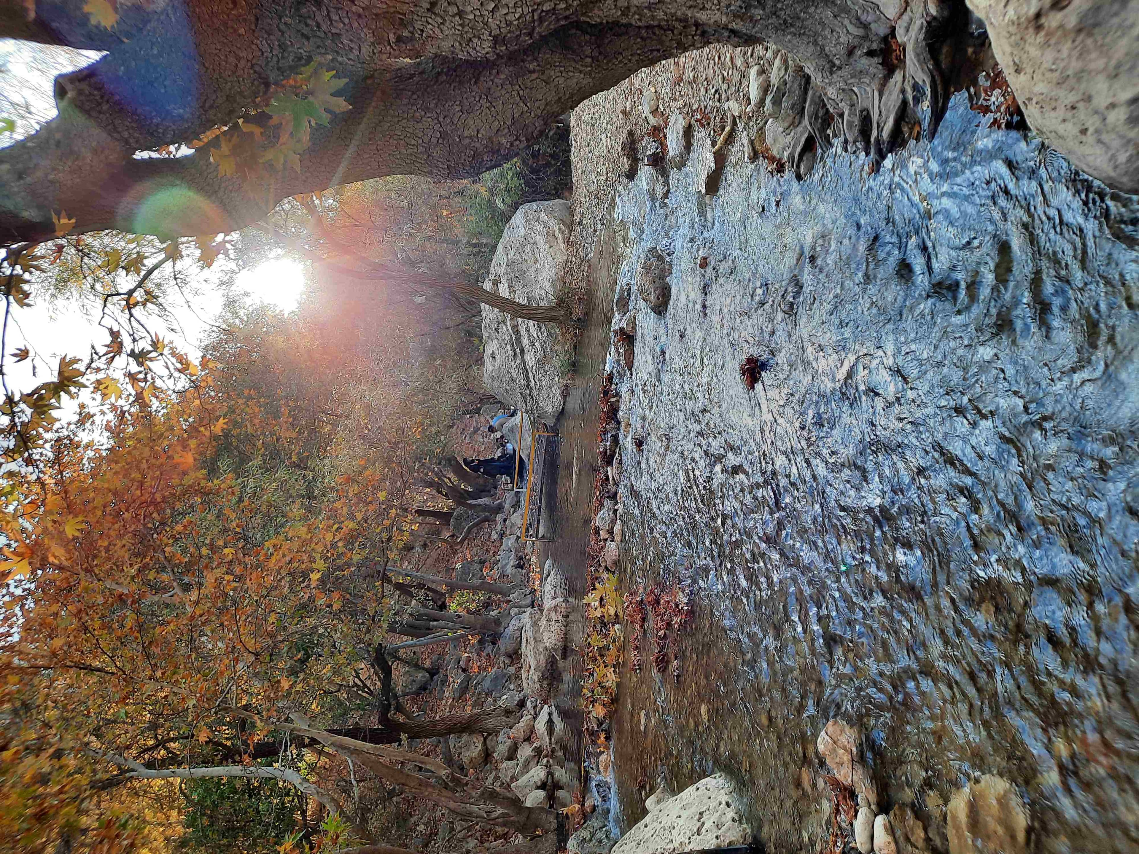 اجاره منزل ویلایی در ولیعصر مرودشت