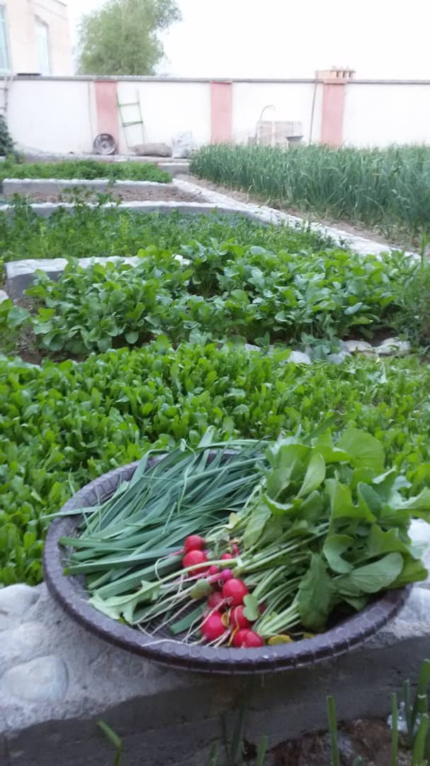 اجاره اتاق سنتی در موغان فریدن - 4