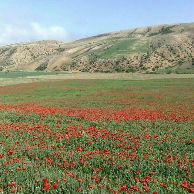 اجاره اقامتگاه بومگردی و خانه روستایی در حسین آباد شاهرود