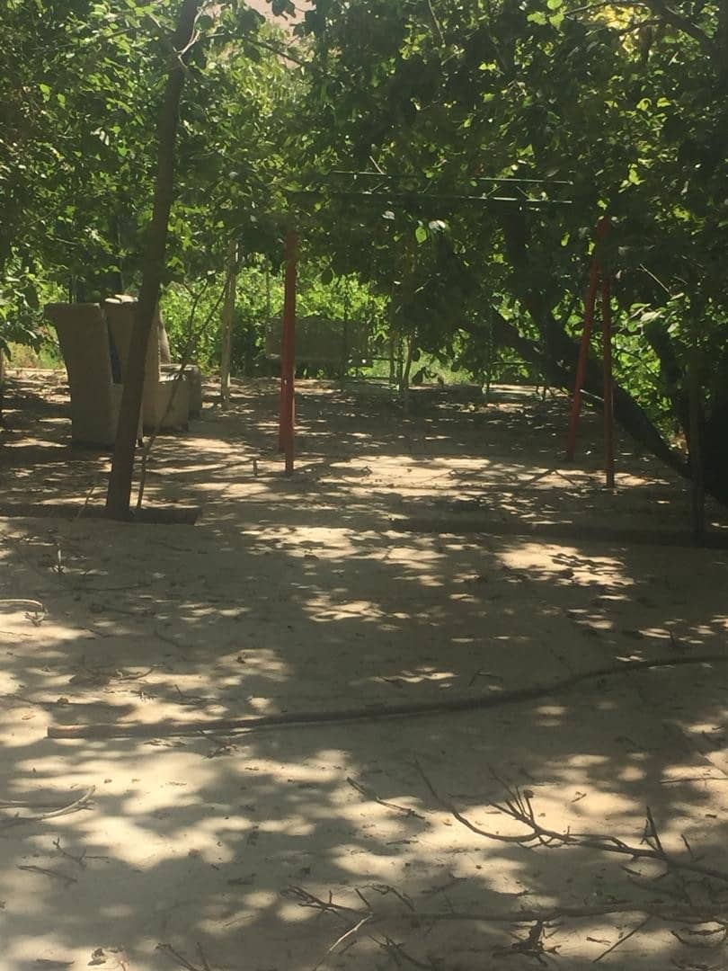 اجاره باغ تفریحی در جاده صدرا شیراز