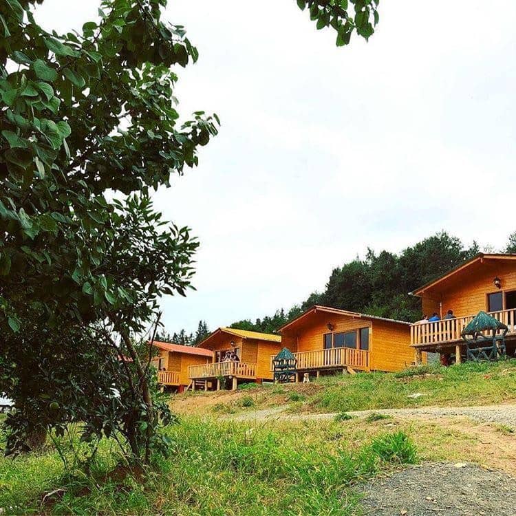 اجاره کلبه چوبی جنگلی در مرزیکلا