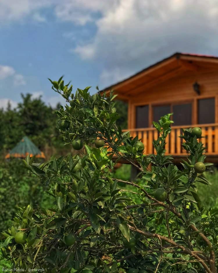 اجاره کلبه جنگلی در مرزیکلا شیرگاه