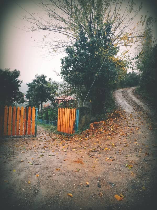 اجاره اتاق بومگردی در چالکش تنکابن -  اتاق3