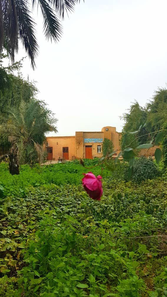 اجاره خانه سنتی در سماله گتوند - اتاق1