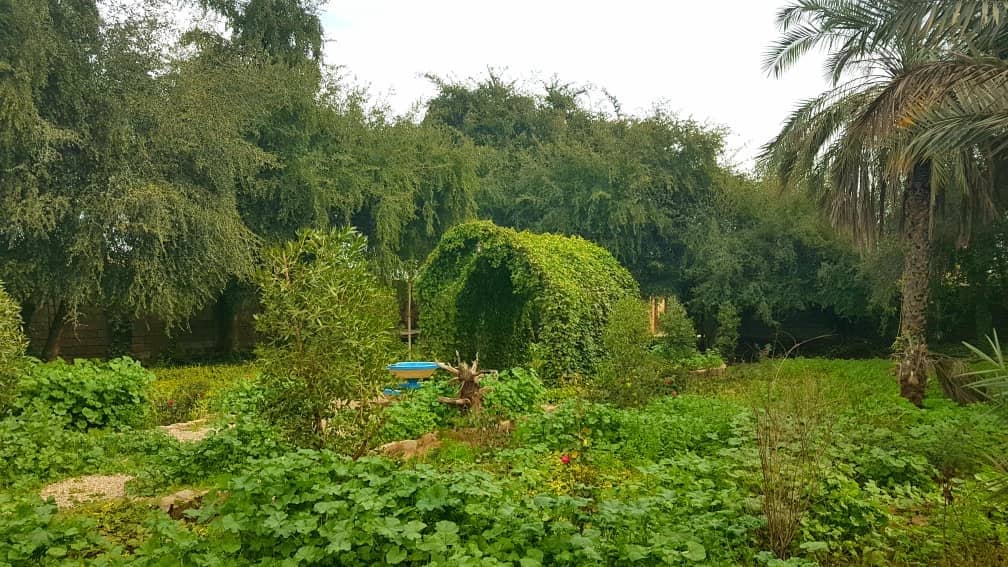 اجاره اقامتگاه بومگردی در سماله گتوند - اتاق2