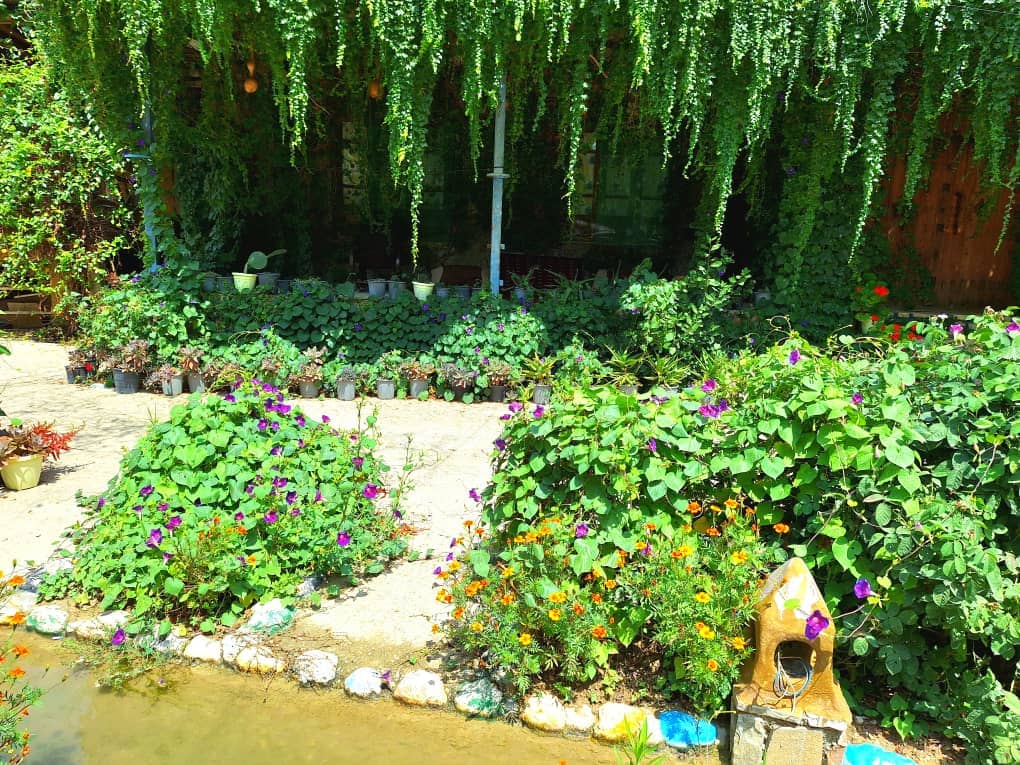 اجاره اقامتگاه سنتی در روستای فارسیان گلستان- اتاق هیرکانی