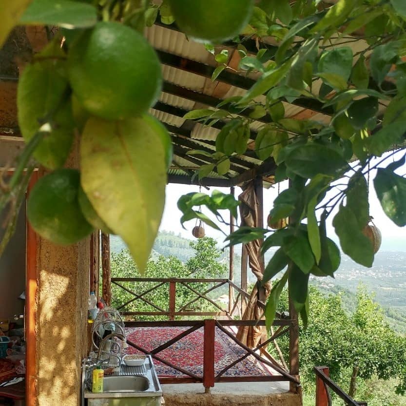 اجاره اتاق بوم گردی در آهکچال شیرود - سوئیت جنوبی2