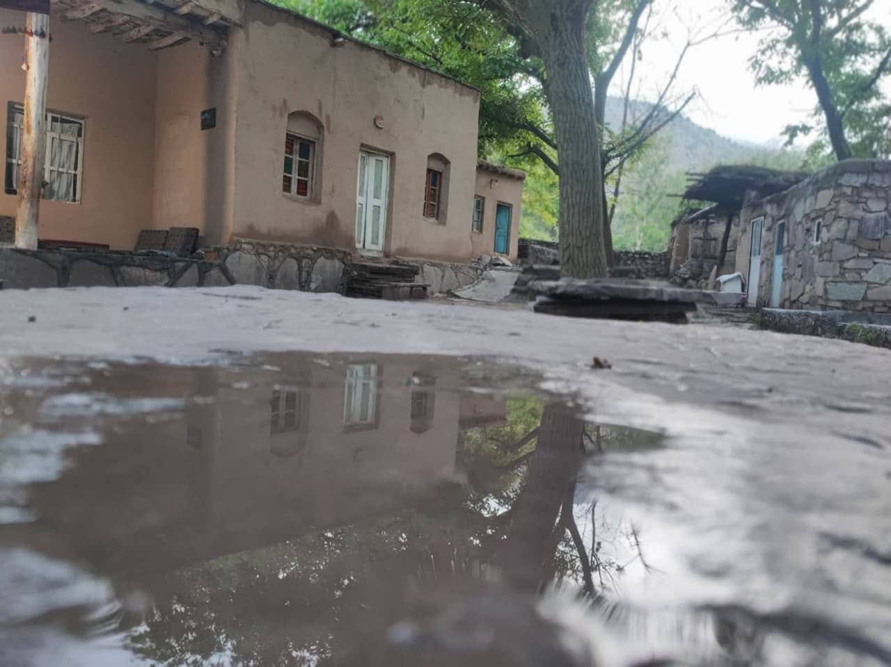 اجاره اتاق بومگردی در چهار راه کلات نادری - ترنج