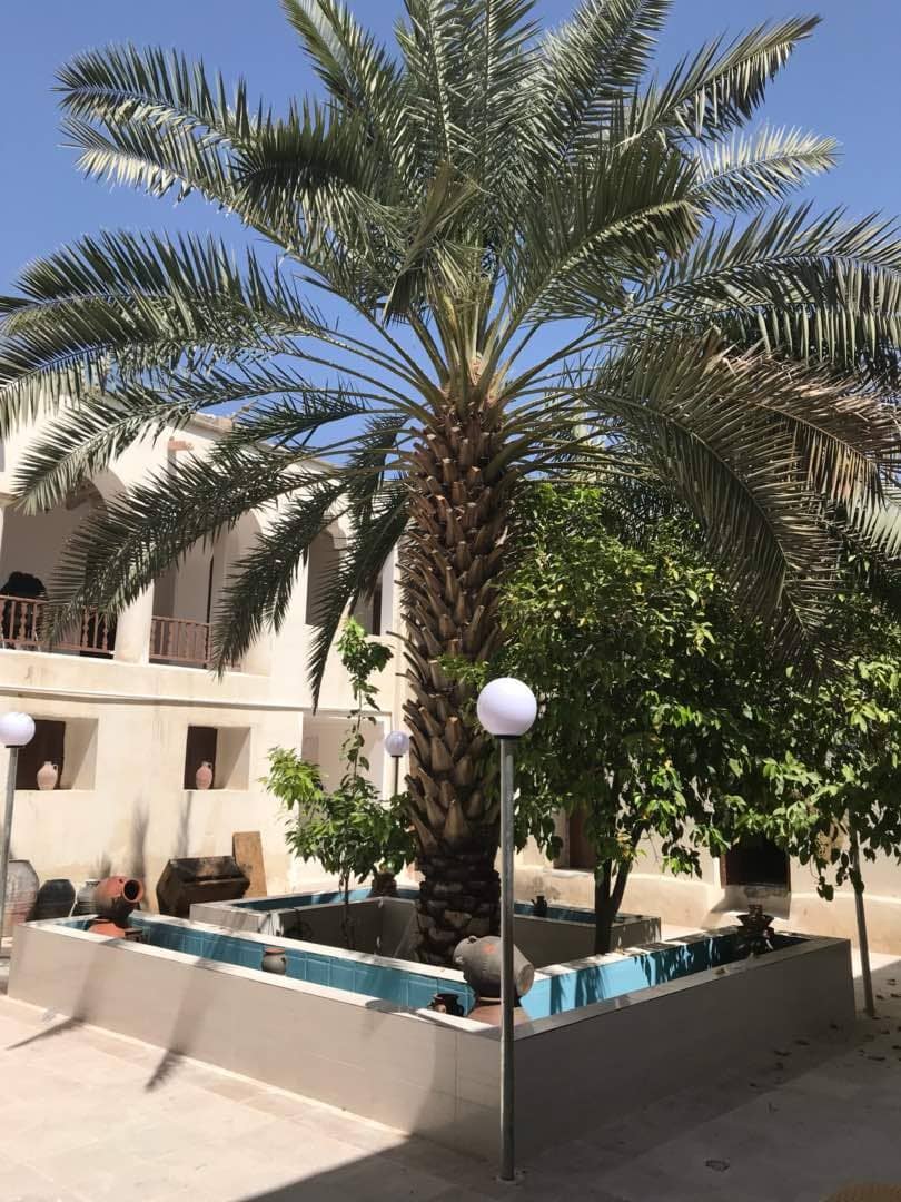 اجاره خانه بوم گردی اوز لار - نریمان اتاق13